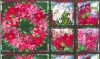 South Sea Wilmington Winter Flowers Panel 860-1