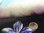 Viskose-Stretchjersey floral digital WI4169-012 Schwarz Multi
