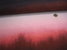 Swafing French Terry "Sunset" Panel Farbverlauf 400713 Rot