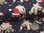 Baumwoll-Stretchjersey "Bern" Weihnachten 453597 Marineblau