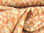 Baumwoll-Leinen-Jersey "Lilo" grafisch C 1543/60 Orange Natur
